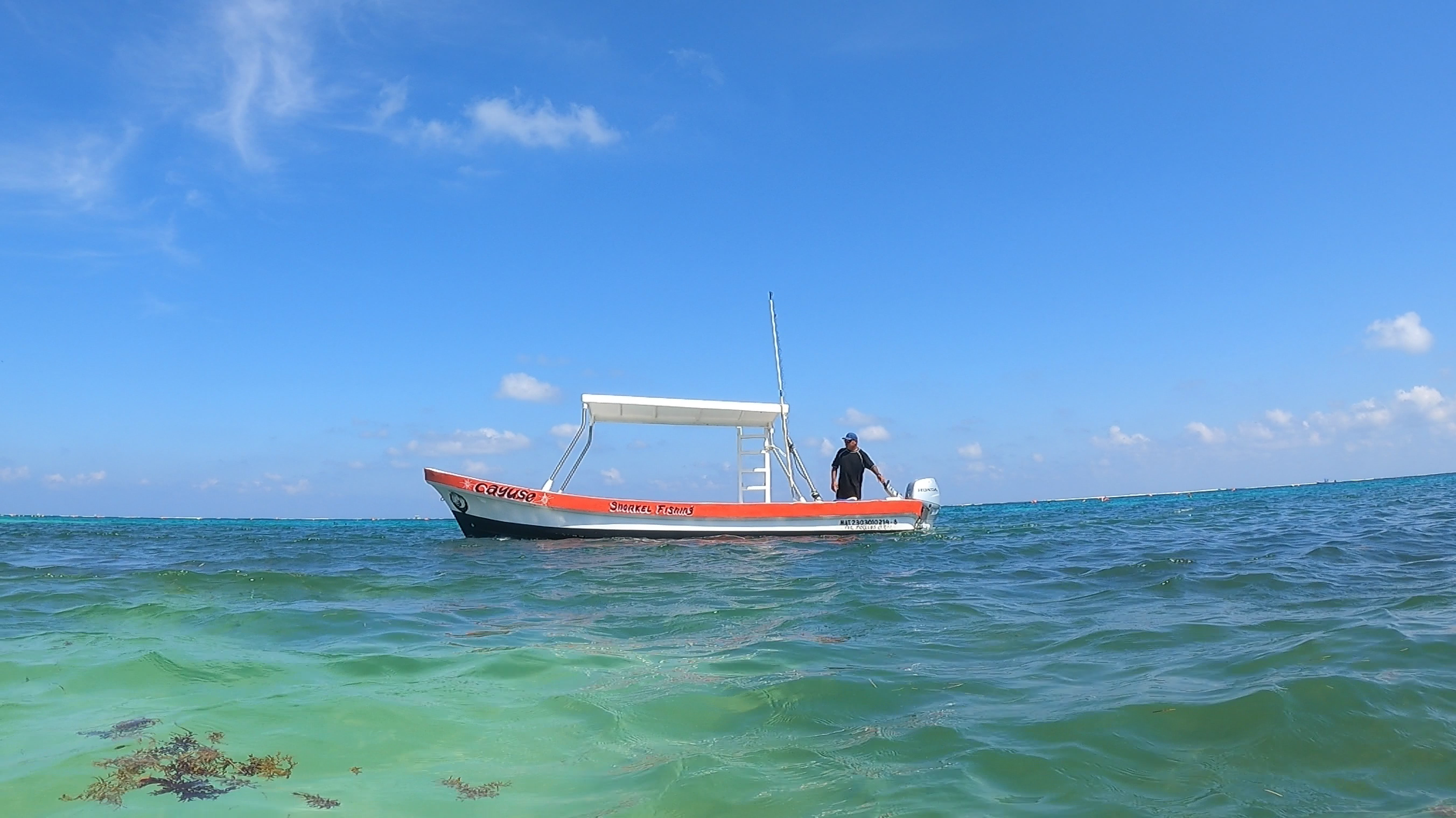 Freedom to work from anywhere